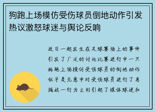 狗跑上场模仿受伤球员倒地动作引发热议激怒球迷与舆论反响
